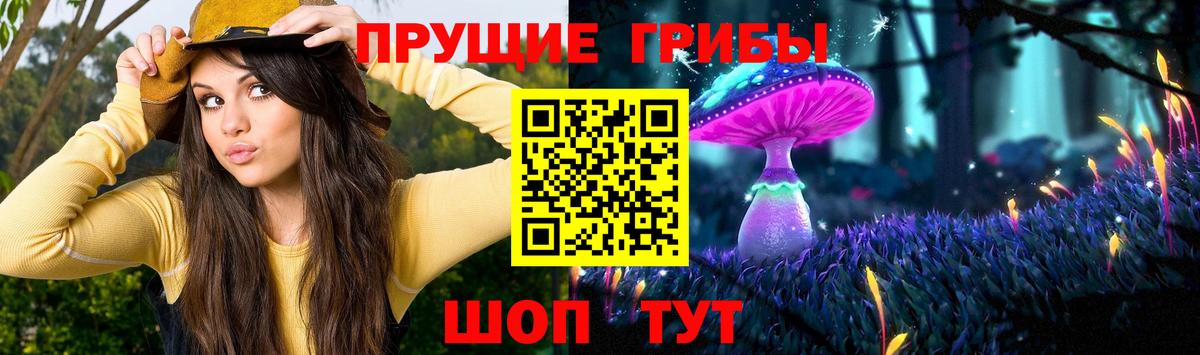Галлюциногенные грибы MAGIC MUSHROOMS  Вход с VPN  Галлюциногенные грибы MAGIC MUSHROOMS  Красногорск 